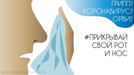 Профилактика гриппа и ОРВИ