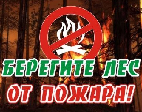 Элемент дизайна