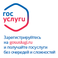 Госуслуги в электронном виде
