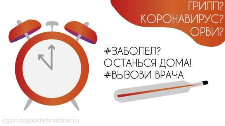 Профилактика гриппа и ОРВИ