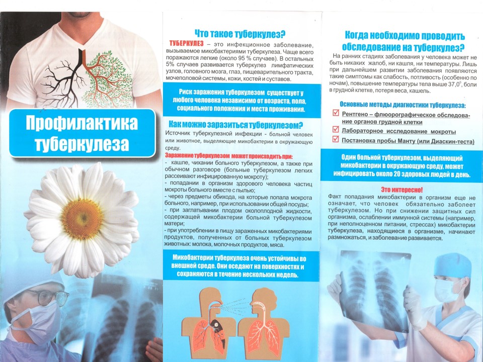 Профилактика туберкулеза Профилактика туберкулеза