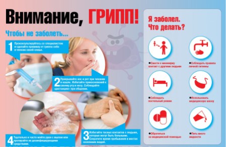 Профилактика гриппа, ОРВИ